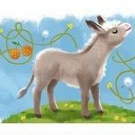 platero